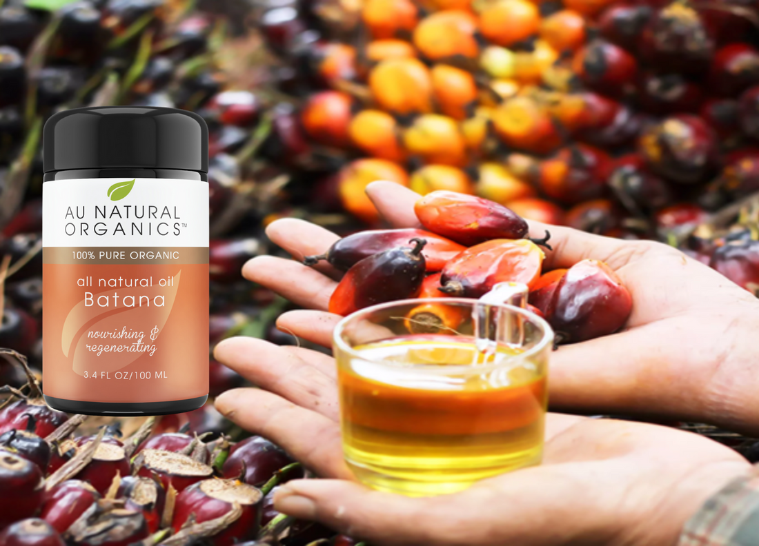The Wonders of Batana and Ojon Oil: Nature's Best Kept Secrets