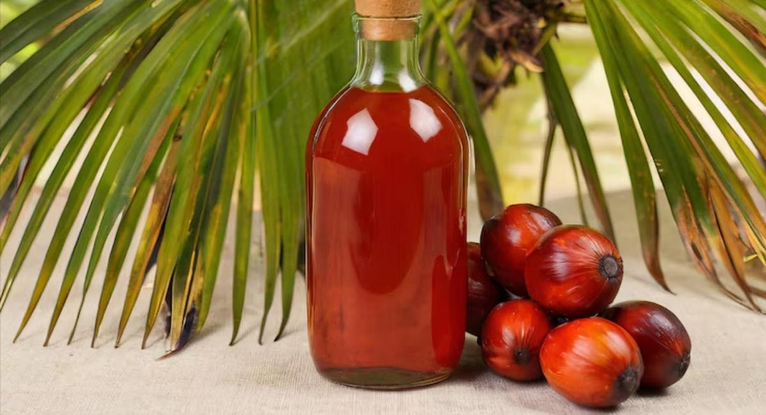 Wholesale Batana Oil
